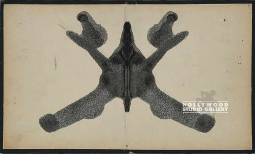 9x14 INK BLOT TEST UNFRMD