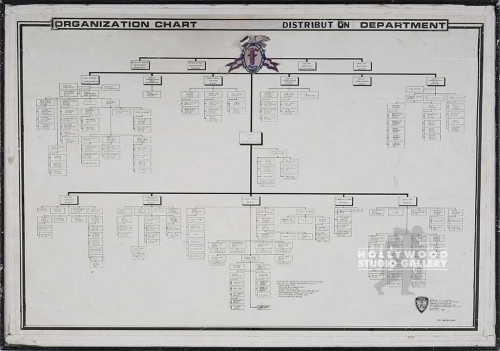 27X40 NYPD ORGANIZATION CHART/BACK