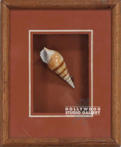 12x10 Seashell In Shadow Bo