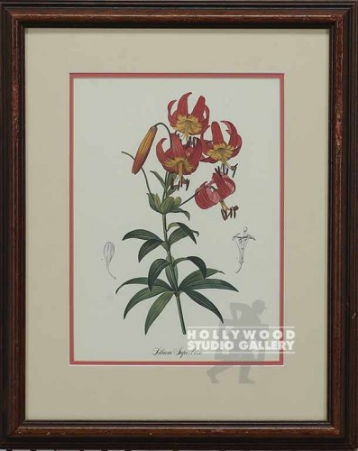 11x13 Botanical Print