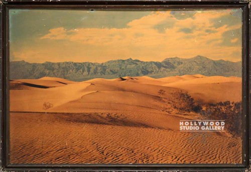 44x64 DESERT SCENE