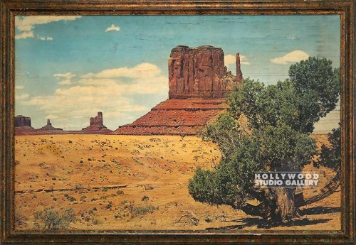 39X58 DESERT LANDSCAPE