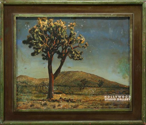 37x43 Desert Landscape