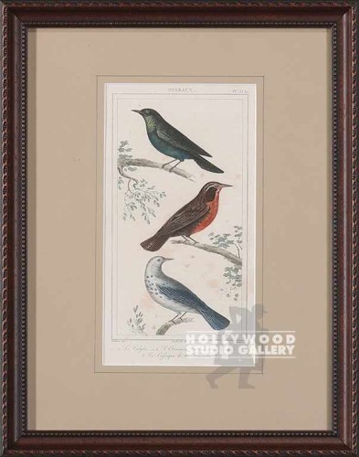13x10 ANTIQUE FRENCH AUDUBON BRWN