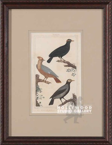 13x10 ANTIQUE FRENCH AUDUBON BRWN