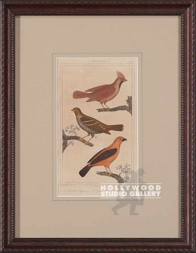 13x10 ANTIQUE FRENCH AUDUBON BRWN