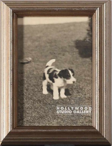 8x6Tabletop Vintage Dog Photo Silvr