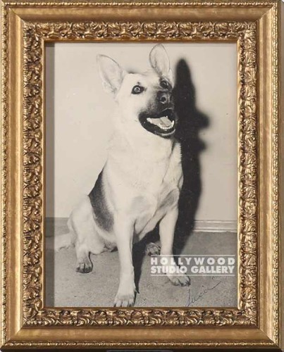 9x7 Tabletop Vintage Dog Gold Frm