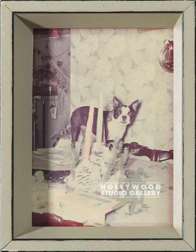 9x7 Tabletop Vintage Dog Table