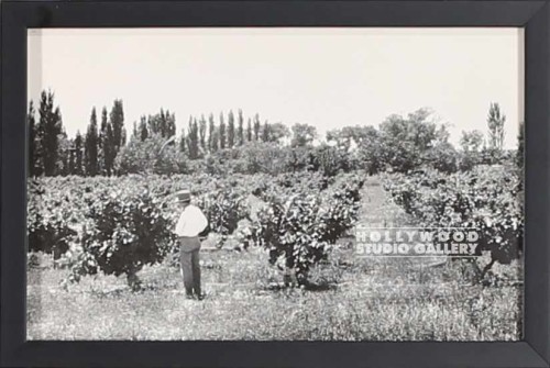 8x11 Vintage Man Orchard Black Frm
