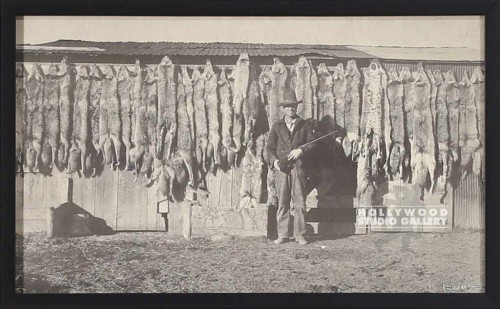 11x18 Vintage B W Hunter Animals