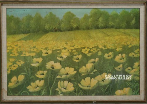 28x40 Field of Daisies/Framed
