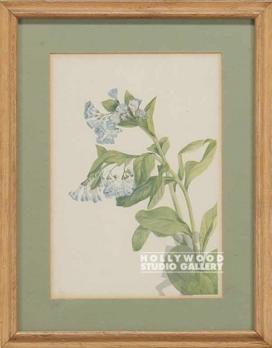 15X11 Framed Floral