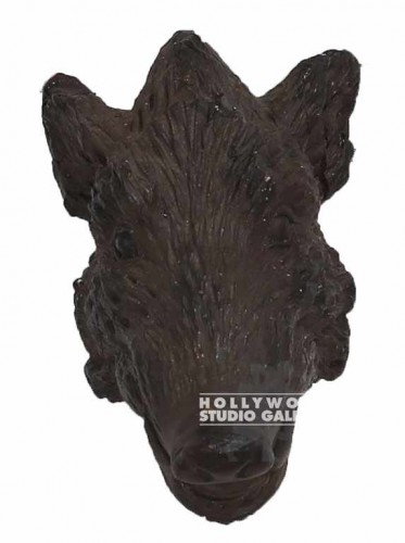 Boar