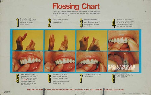 11X18 FLOSSING CHART MOUND PSTR