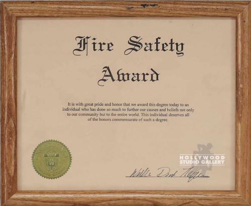 9X11 FIRE AWARD SAFETY CERTIF/FRAME