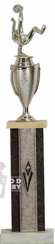 19" SOCCER TROPHY