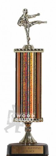15" MARTIAL ARTS TROPHY