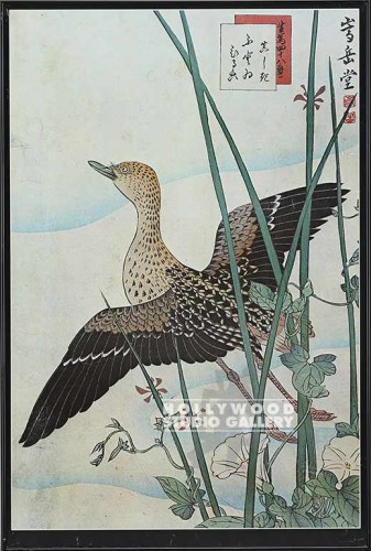 37X25 SUGAKUDO BIRD PRINT/JPN