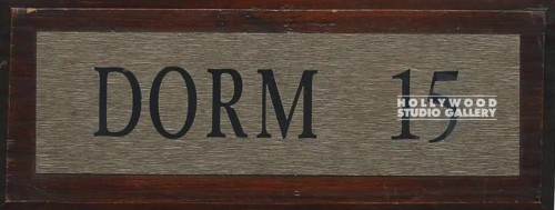 10X4 DORM 15 SIGN