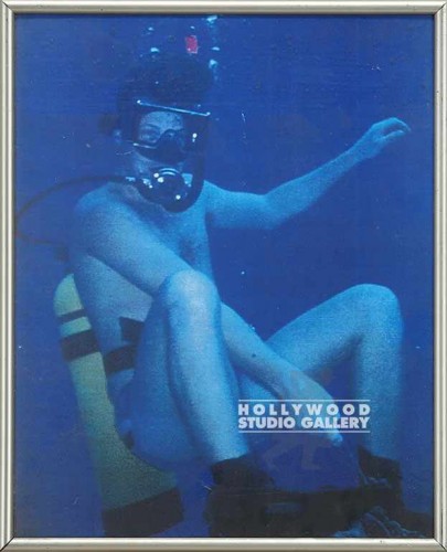 13X11 SCUBA DIVING DUDE/COLOR PHOTO