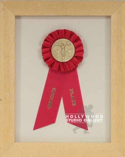 10X13FRAMED 1ST PLACE RIBBON/BLUE