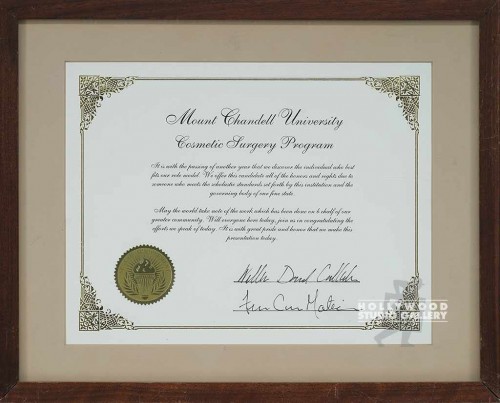 12X15 COSMETIC SURGERY CERTIF