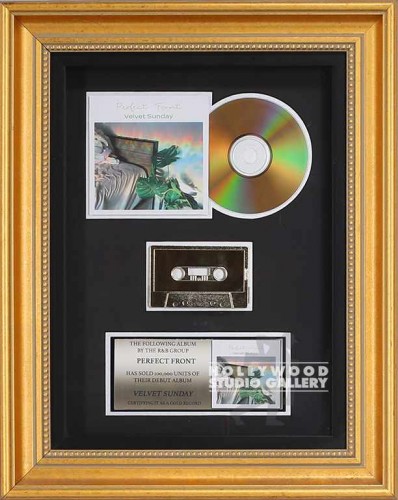 16X12 PLATINUM RECORD/C.D/BLACK FRM