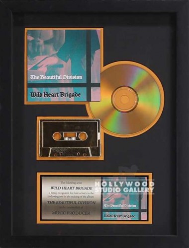16X12 PLATINUM RECORD/C.D/BLACK FRM