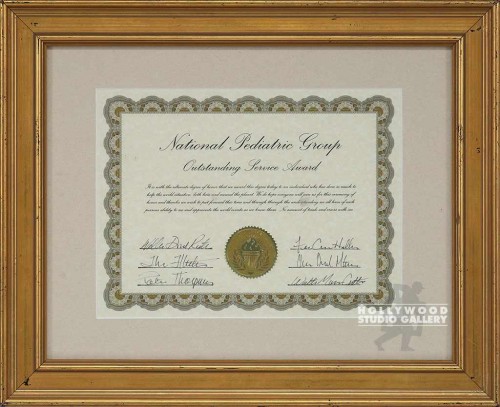 13X17 NATIONAL PEDIATRIC GROUP/GLD