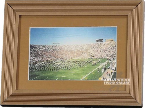 6X9 TABLETOP FOOTBALL-FIELD BAND