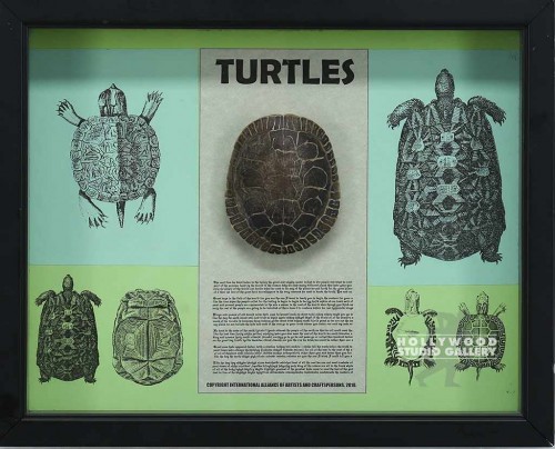 12X15 JJ/TURTLE SHELL MOUNTED/BO