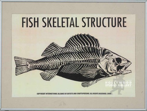 HSM 18X24 JJ FISH SKELETAL POSTER