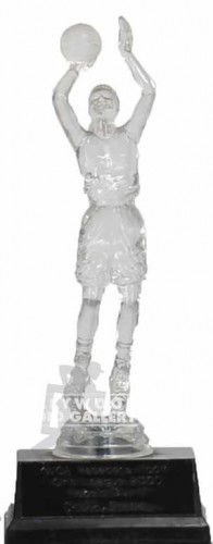 8" BASKETBALL TROPHY