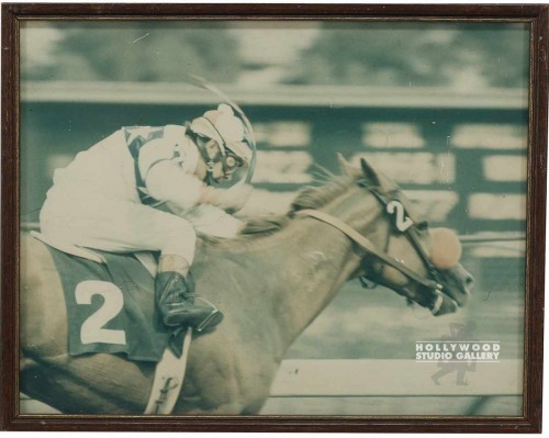 12x15 Race Horse Photograph