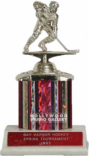 8" HOCKEY TROPHY
