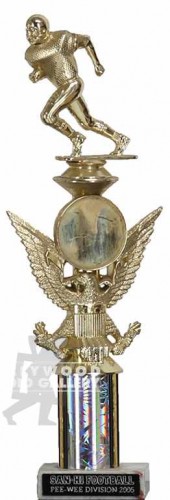 14" FOOTBALL TROPHY