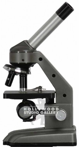 11" MICROSCOPE