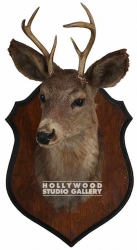 16x16"DEER HEAD W/WOOD PLAQUE