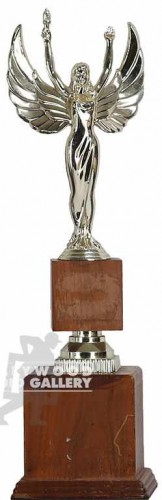 12" SURFING TROPHIE
