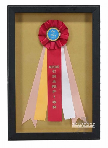 19X13SHDW BX/`BEST OF BREED"/RIBBON
