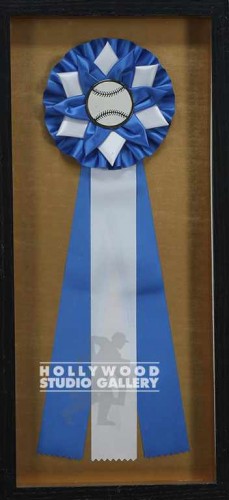 22X10 SHDW BX/BLUE RIBBON/ BASEBALL