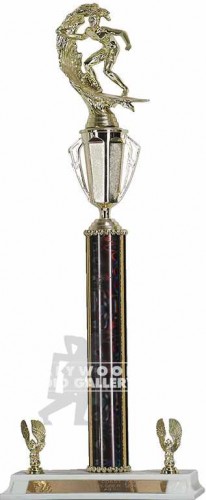 22" SURFING TROPHIE