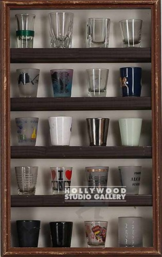 21X13 SHOT GLASS SHELVES