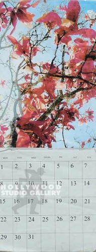 18X7 PINK FLOWER CALENDER