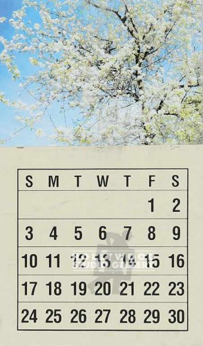 18X10 TREE W/WHITE LEAVES CALENDER