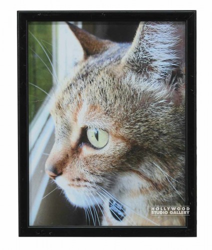 12X9 MELISSA`S CAT