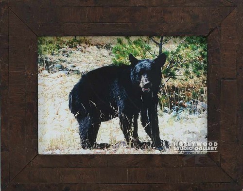 HBW 10X8 BLACK BEAR/TREES/BUSHES