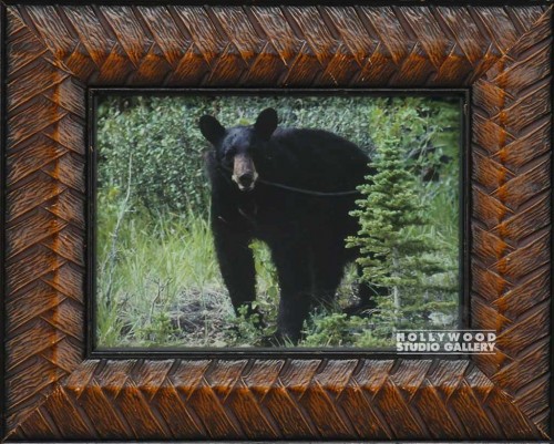 HBW 10X8 BLACK BEAR/GREEN BUSHES