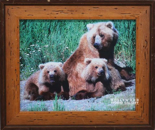 HBW 11X13 (3) BRWN BEARS/GRASS
